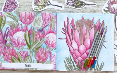 Coloring Club: Protea Bloom: Watch my video and join me to color Botanical Blooms and Mandalas