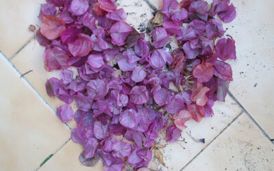 heART everyday – registration is open for my new e-course