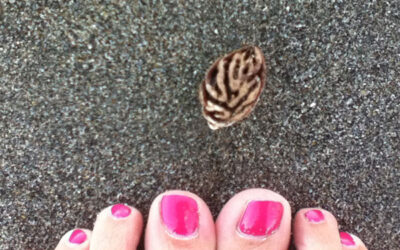 Something a little different today…….